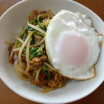 昼食に。
もやしと豆苗なので、パッと作れますね！
ピリ辛の肉味噌に、半熟のたまごの黄身を絡めるとマイルドになりますね^m^
とっても美味しくいただきました♪